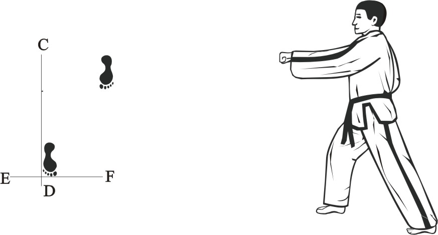 taekwondo-tul-toigye-movement-11