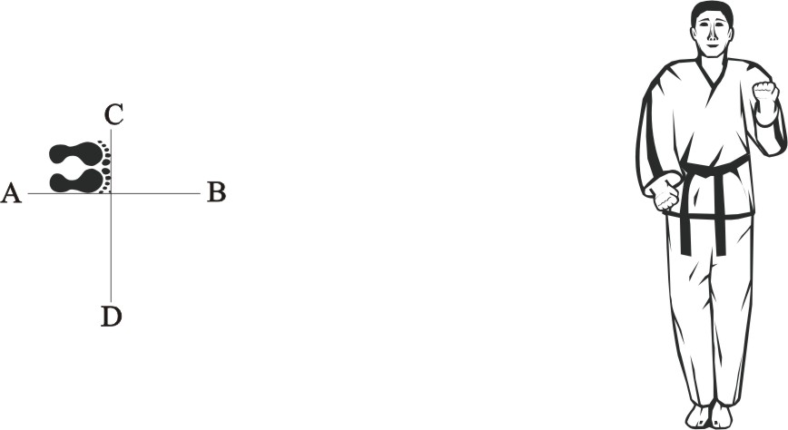 taekwondo-tul-hwarang-movement-27