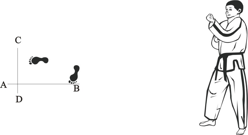 taekwondo-tul-hwarang-movement-5