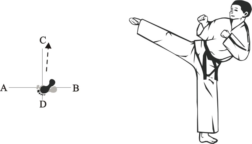 taekwondo-tul-choongmoo-movement-7