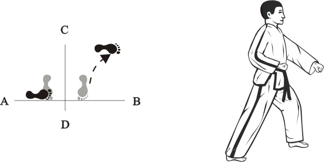 taekwondo tul chonji movement 1