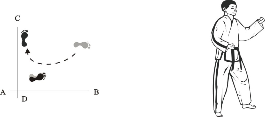 taekwondo tul chonji movement 13