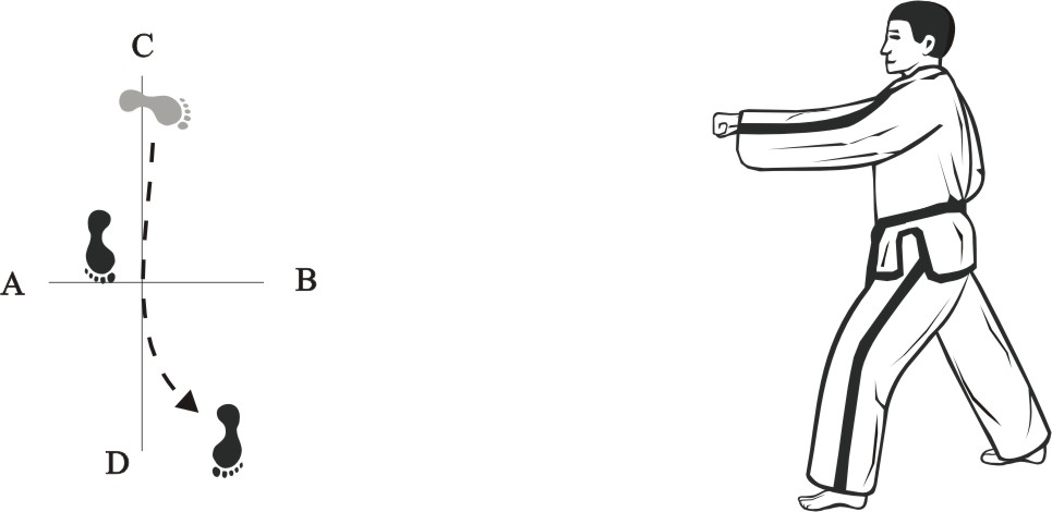 taekwondo tul chonji movement 16