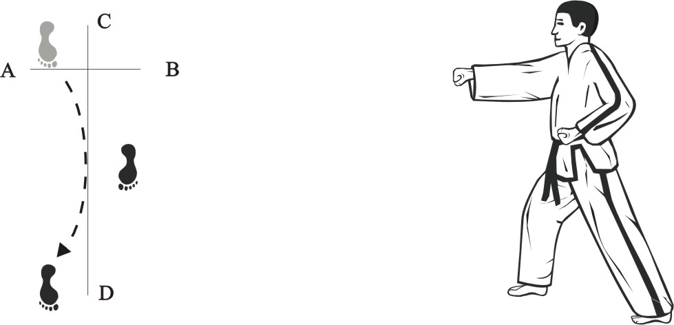 taekwondo tul chonji movement 17