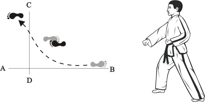 taekwondo tul chonji movement 3