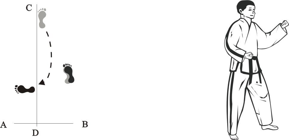 taekwondo tul chonji movement 9