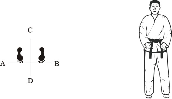 taekwondo tul chonji beginpositie