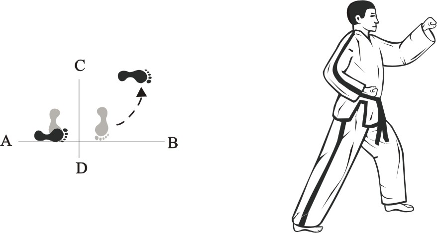 taekwondo tul dosan movement 1
