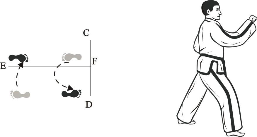 taekwondo tul dosan movement 11