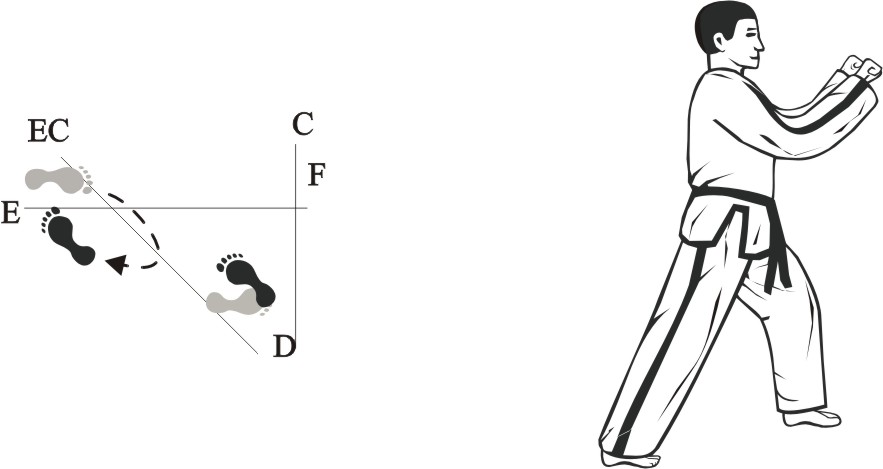 taekwondo tul dosan movement 13