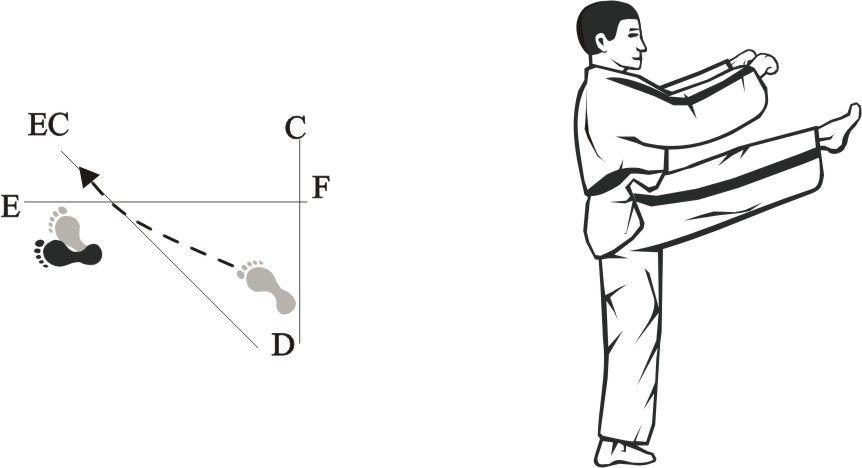 taekwondo tul dosan movement 14