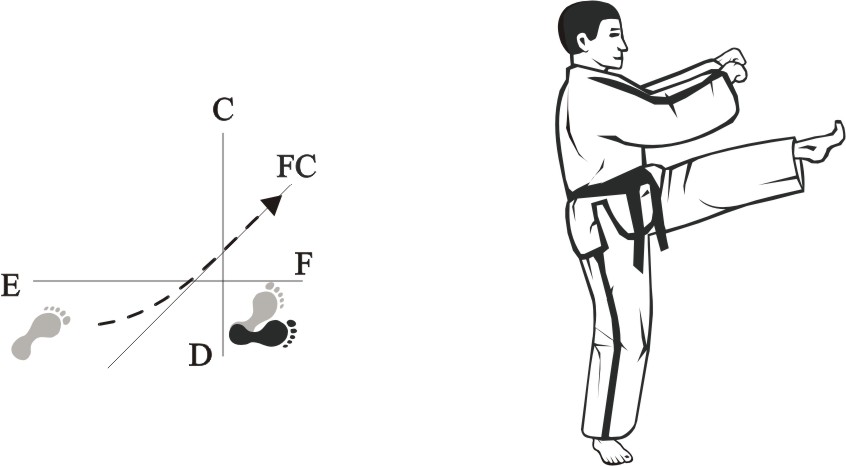 taekwondo tul dosan movement 18