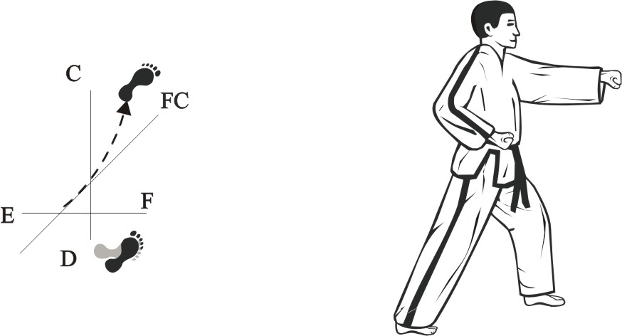 taekwondo tul dosan movement 19