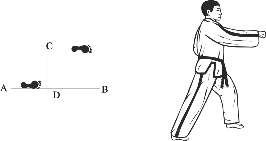 taekwondo tul dosan movement 2