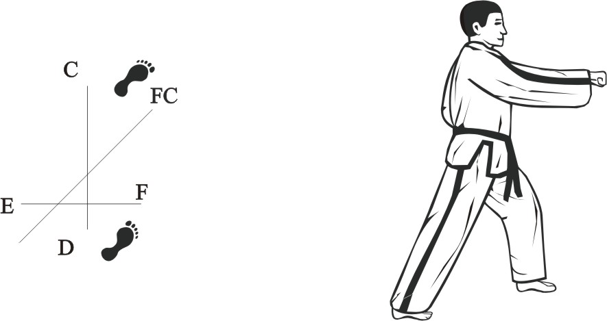 taekwondo tul dosan movement 20