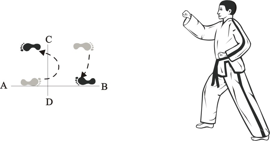 taekwondo tul dosan movement 3