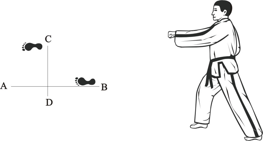 taekwondo tul dosan movement 4