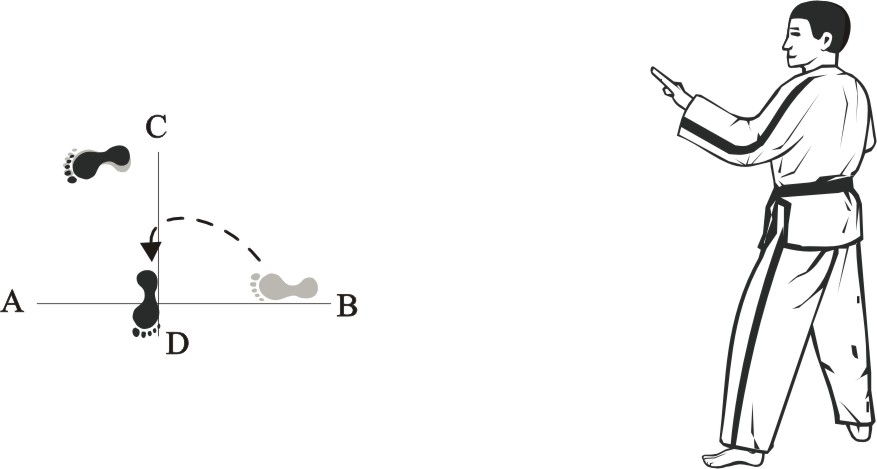 taekwondo tul dosan movement 5