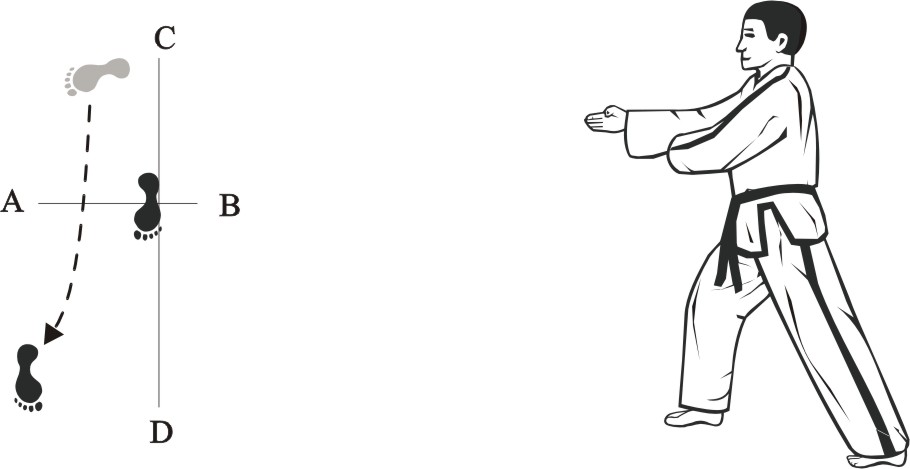 taekwondo tul dosan movement 6