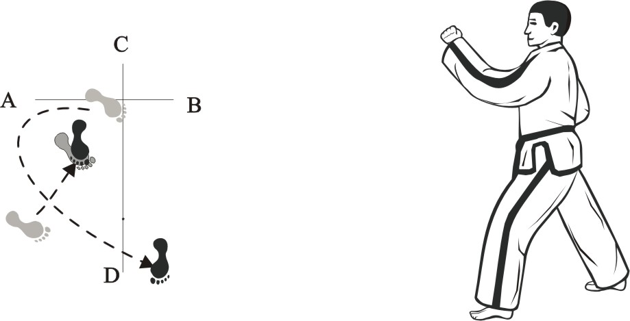 taekwondo tul dosan movement 7b