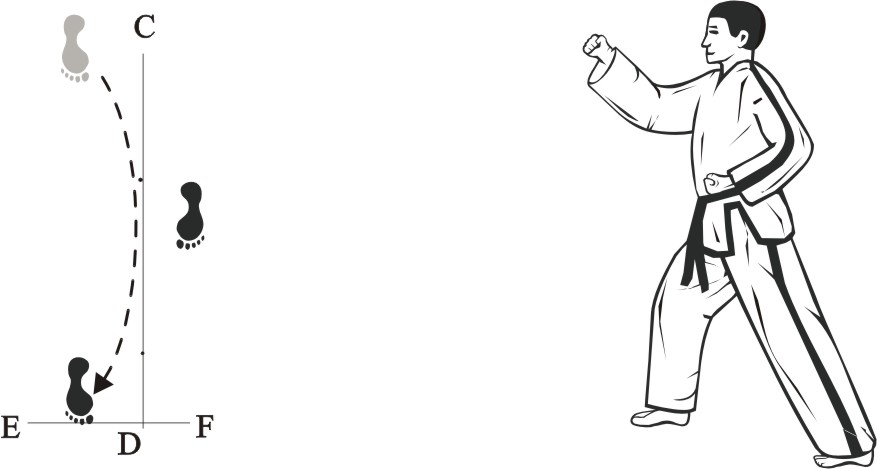 taekwondo tul d8n movement