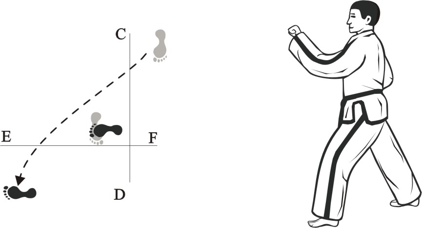 taekwondo tul dosan movement 9