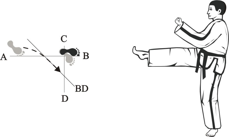 Taekwon-do Tul Yul-Gok movement 12