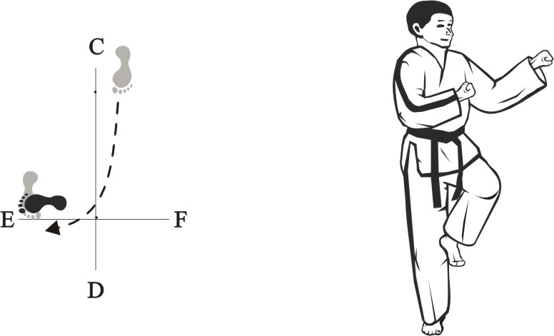 Taekwon-do Tul Yul-Gok movement 22