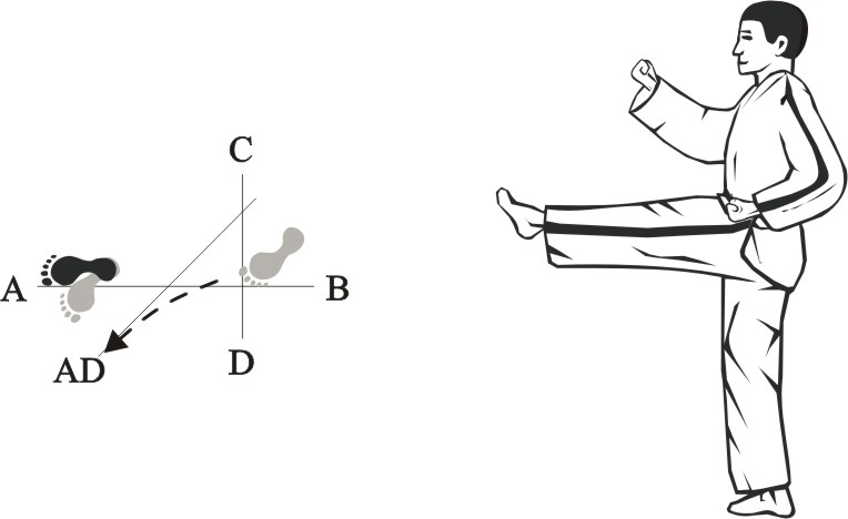 Taekwon-do Tul Yul-Gok movement 8