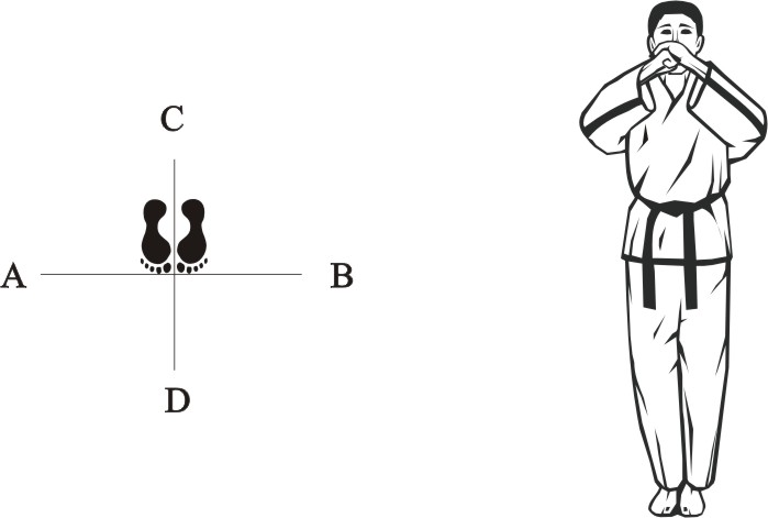 Taekwondo tul wonhyo begin movement