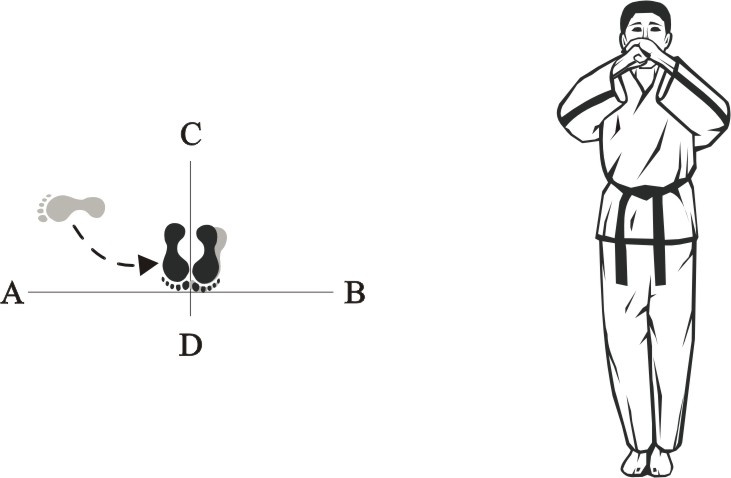 taekwondo tul wonhyo movement end movement