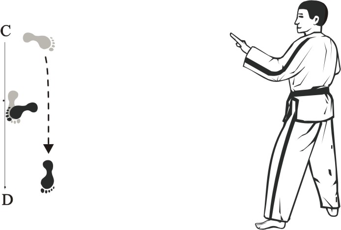 taekwondo tul wonhyo movement 11