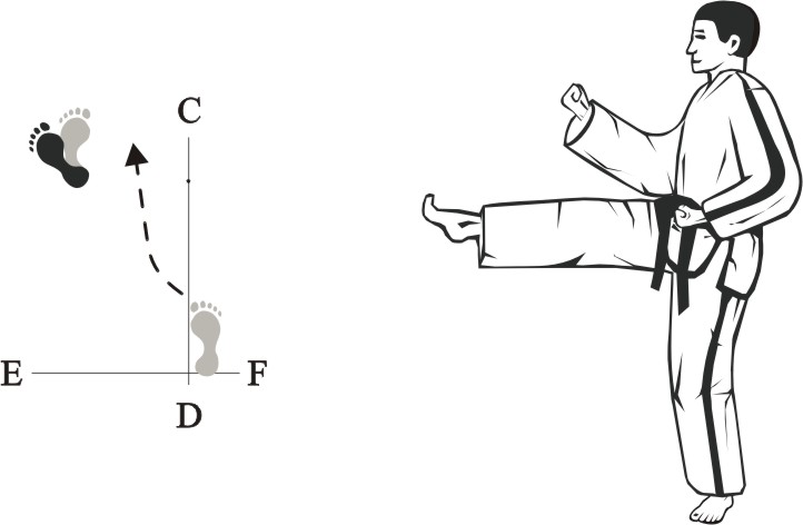 taekwondo tul wonhyo movement 20