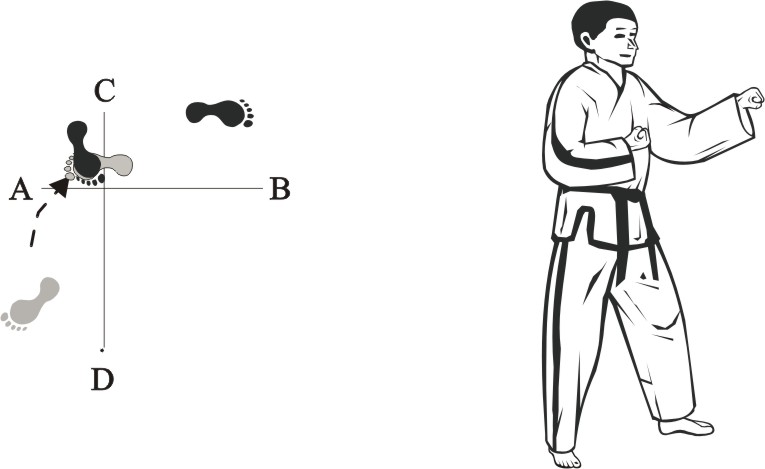 taekwondo tul wonhyo movement 27