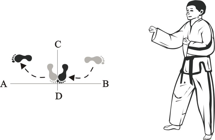 taekwondo tul wonhyo movement 28