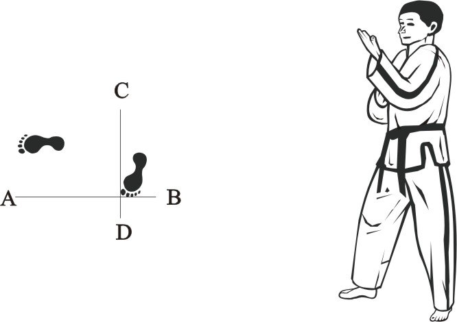 taekwondo tul wonhyo movement 5
