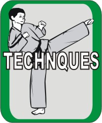 This button links to the detailed elaboration of all techniques as far as they are used in the Tuls.