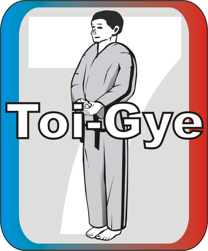 This button links to the detailed elaboration of Toi-Gye Tul.