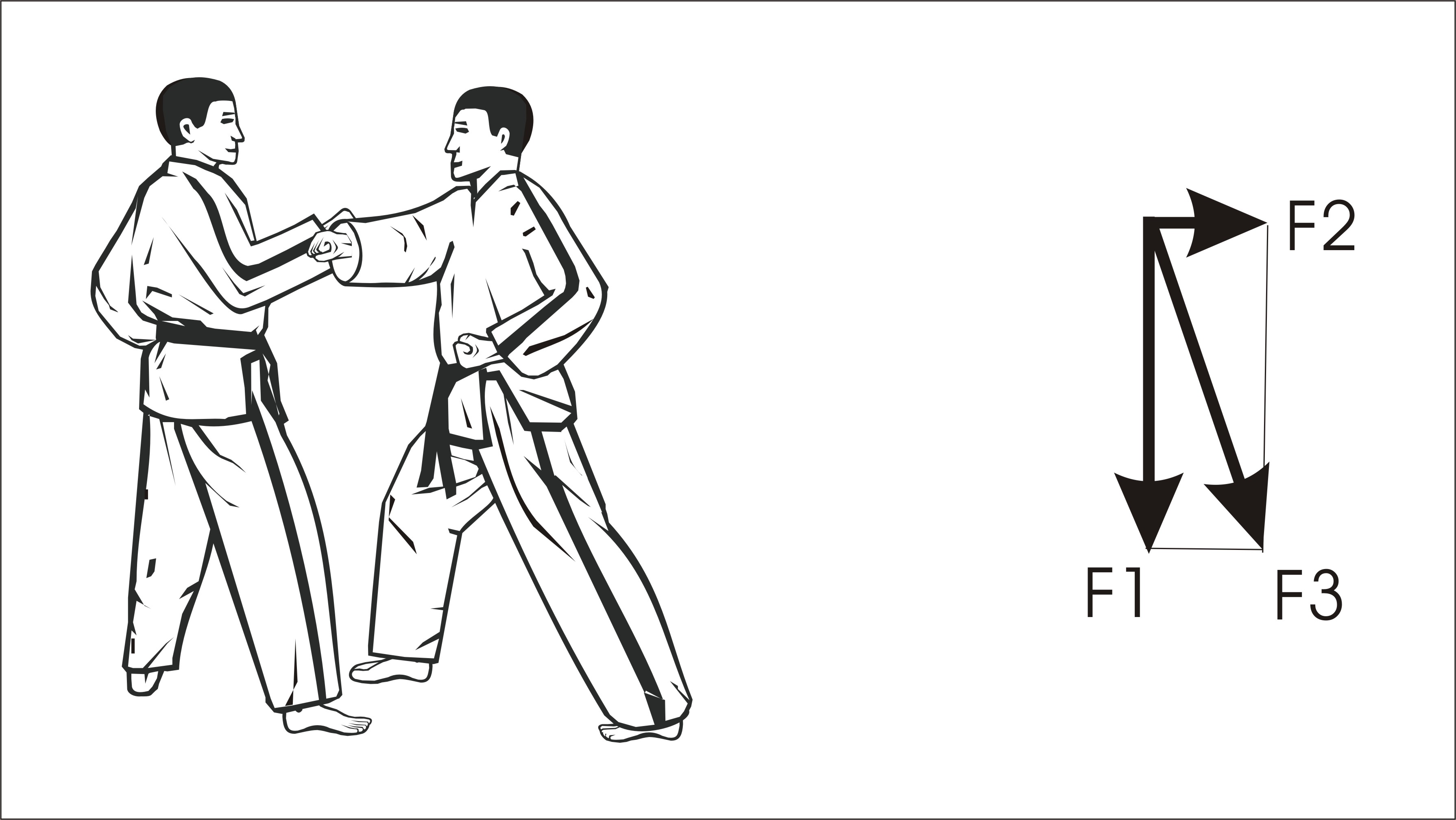 Force Aid Block Blog 7. Principles of Blockings
